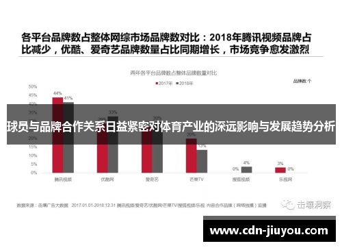 球员与品牌合作关系日益紧密对体育产业的深远影响与发展趋势分析