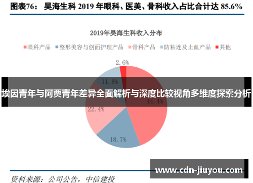 埃因青年与阿贾青年差异全面解析与深度比较视角多维度探索分析