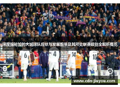 深度揭秘加的夫城球队现状与发展前景及其所处联赛级别全解析概览