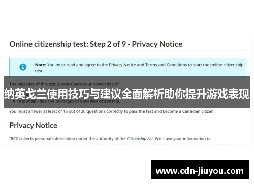 纳英戈兰使用技巧与建议全面解析助你提升游戏表现