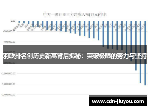 羽联排名创历史新高背后揭秘：突破极限的努力与坚持
