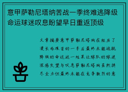 意甲萨勒尼塔纳苦战一季终难逃降级命运球迷叹息盼望早日重返顶级